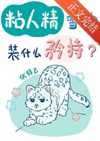 ����С˵:ճ�˾�ѩ��װʲô����