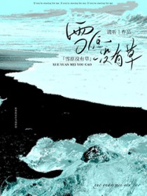 ����С˵:ѩԭû�в�