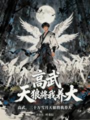 ����С˵:���䣬��ʮ��ѩ�����ǽ�������