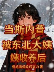 ����С˵:��˹���ձ���������������