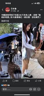 ����С˵:���飺�Ӻ�̨��ͬ�ӿ�ʼ