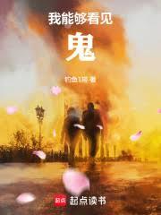 ����С˵:���ܹ�������