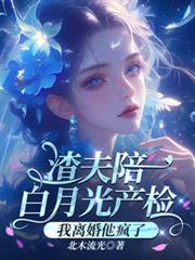 ����С˵:��������¹���죬�����������