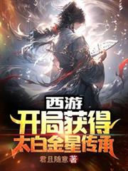 ����С˵:���Σ����ֻ��̫�׽��Ǵ���