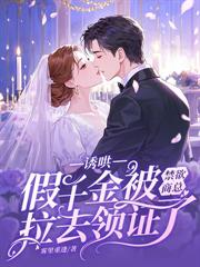 ����С˵:ʮ���갵�����棬ʢ������Լ��λ