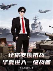 ����С˵:����֧Ԯ��ս�����Ľ���һ��ս��