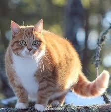 ����С˵:���ޣ�16�꣬�ϵ���Ϯʲô��