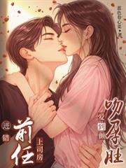 ����С˵:����ǰ����˾�������жǣ�������