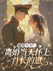 ����С˵:���Ҳ��У���鵱�컳���׳�����