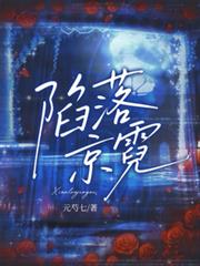 ����С˵:���侩��