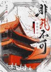 ����С˵:���Ҳ���