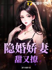 ����С˵:������