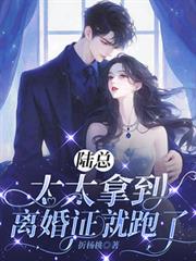 ����С˵:½�ܣ�̫̫�õ����֤������