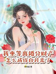 ����С˵:����˵���ָ��䣬��֤��ȴ��������