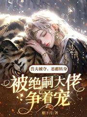 ����С˵:�Ǽ���Ϸ���ҵ����ݺ������