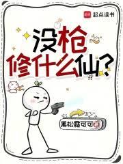 ����С˵:ûǹ��ʲô�ɣ�