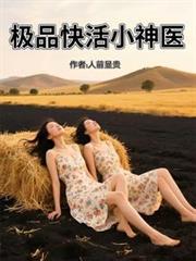 ����С˵:��Ʒ���С��ҽ