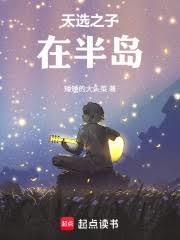 ����С˵:��ѡ֮���ڰ뵺