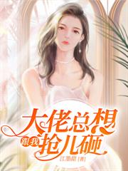 ����С˵:���ƴ���