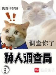 ����С˵:���˵����