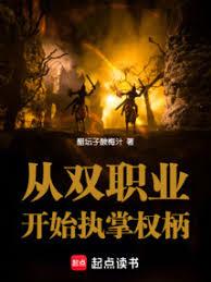 ����С˵:��˫ְҵ��ʼִ��Ȩ��