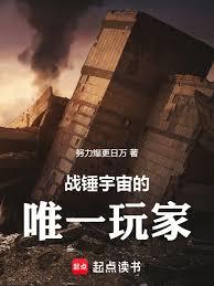 ����С˵:ս�������Ψһ���