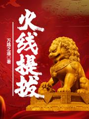 ����С˵:�������