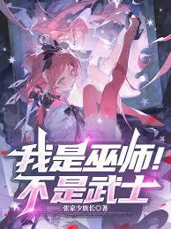 ����С˵:������ʦ��������ʿ��