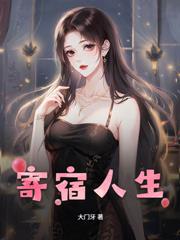 ����С˵:����������