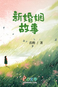 ����С˵:�»�������