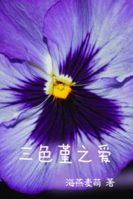 ����С˵:��ɫ��֮��