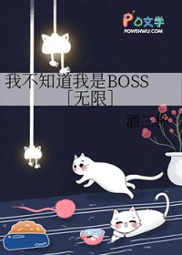 ����С˵:�Ҳ�֪������BOSS