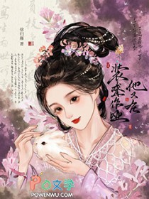 ����С˵:������װ������