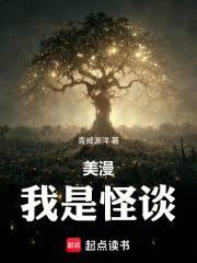 ����С˵:���������ǹ�̸