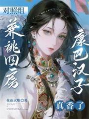 ����С˵:����������ķ������ͺ���������