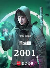 ����С˵:������2001