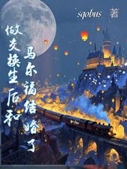 ����С˵:HP������������������������