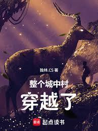 ����С˵:�������д崩Խ��