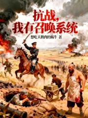 ����С˵:��ս�������ٻ�ϵͳ