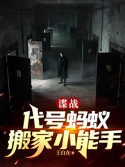 ����С˵:��ս���������ϣ����С����