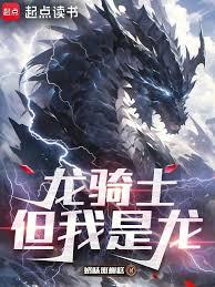 ����С˵:����ʿ����������