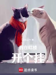 ����С˵:���ں�¥������