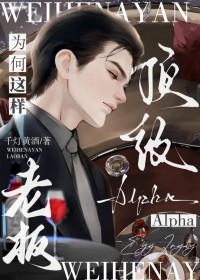 ����С˵:����Alpha�ϰ�Ϊ������