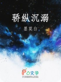 ����С˵:���ݳ���