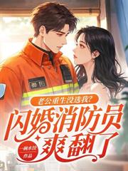 ����С˵:��������