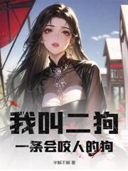 ����С˵:���²���