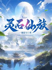 ����С˵:��ʯ����