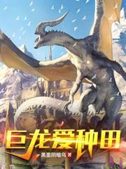 ����С˵:����������