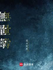 ����С˵:������