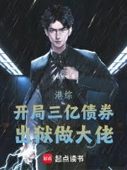 ����С˵:���ۣ���������ծȯ������������